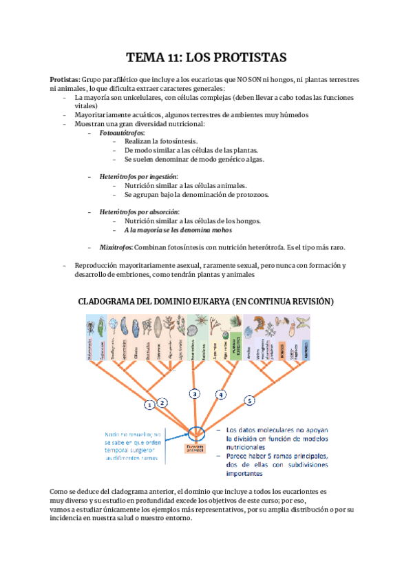 Miniatura del documento TEMA-11.pdf