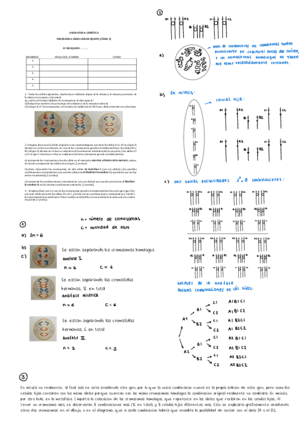 Miniatura del documento Ejercicios-de-cada-tema.pdf