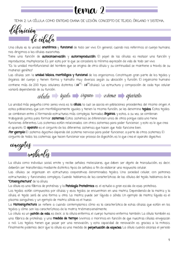 Miniatura del documento Tema-2.pdf