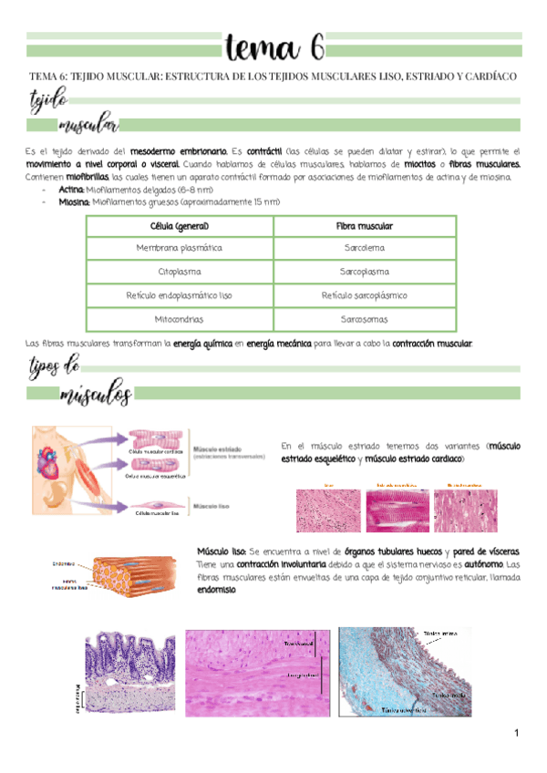 Miniatura del documento Tema-6.pdf
