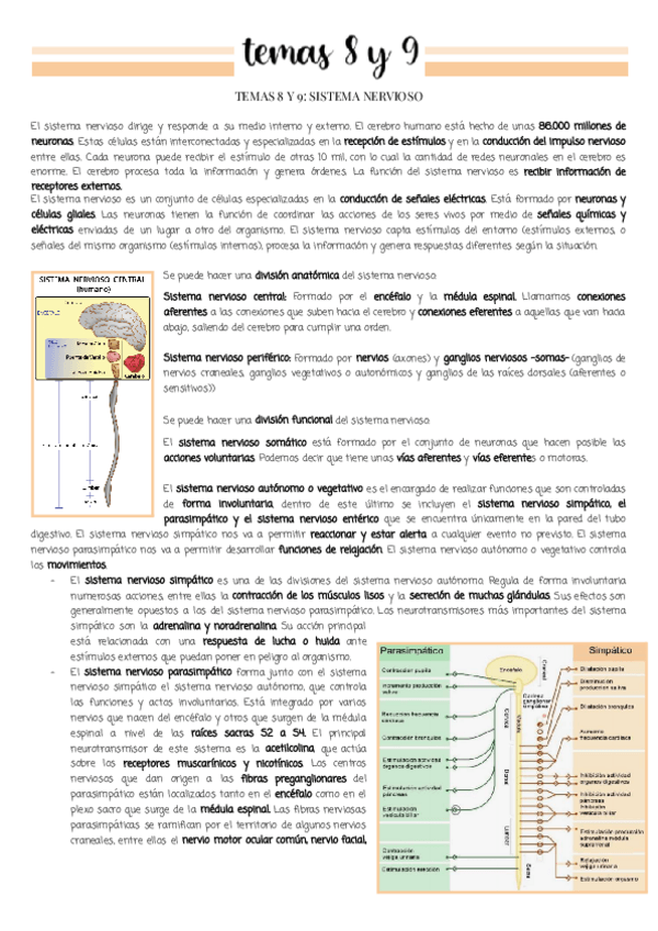 Miniatura del documento Temas-8-Y-9.pdf
