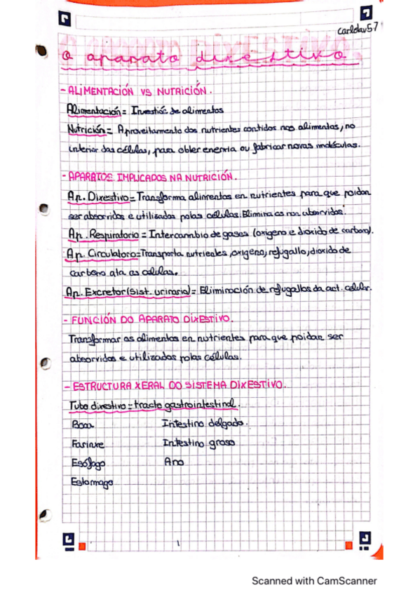 Miniatura del documento aparato-digestivo-biologia-3-ESO.pdf