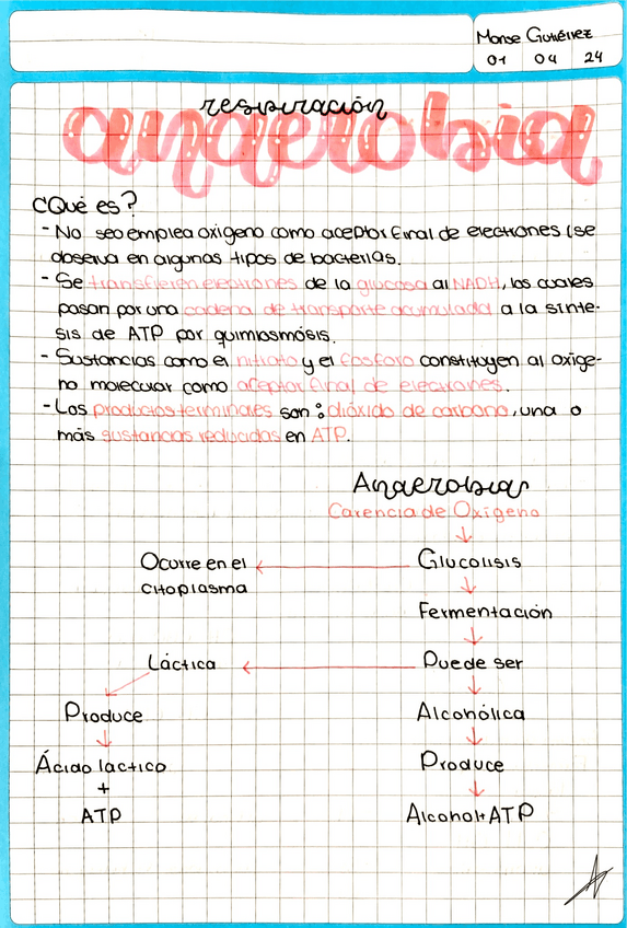Miniatura del documento Respiracion-Anaerobica.pdf