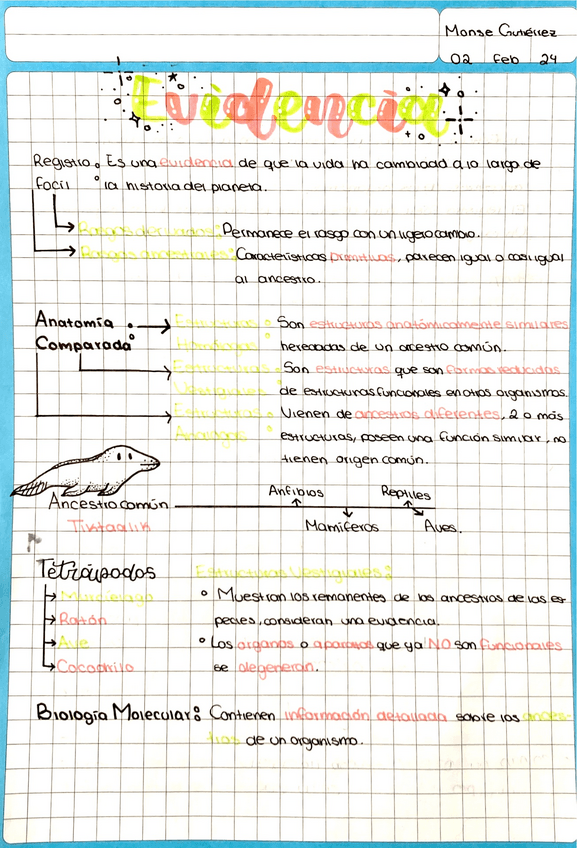 Miniatura del documento Adaptacion-Evolucion-y-Especiacion.pdf