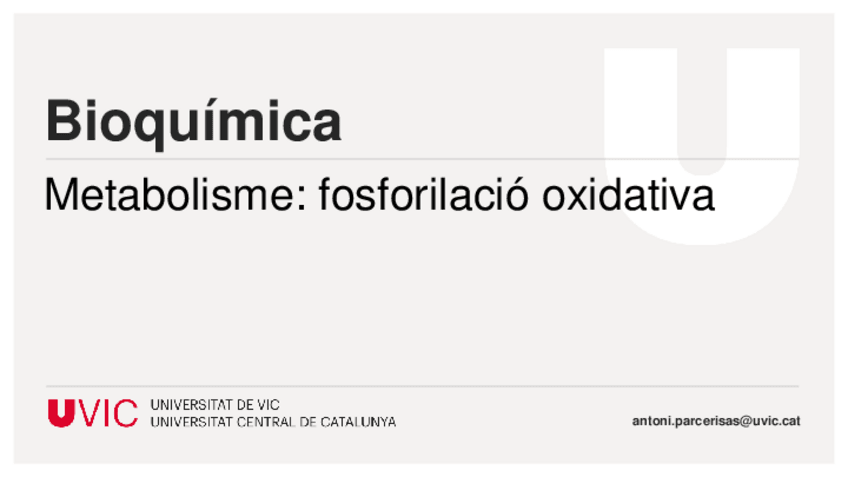 Miniatura del documento T35Metabolismefosforilacio-oxidativaBQBB.pdf