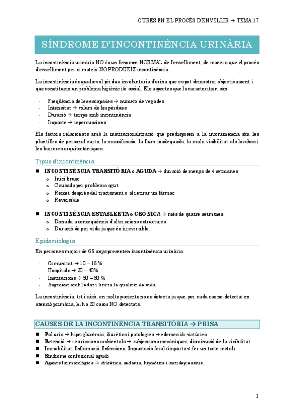Miniatura del documento 17.-SINDROME-DINCONTINENCIA-URINARIA.pdf