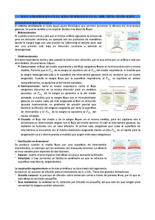 Miniatura del documento TEMA-2-RESPIRACION-EN-EL-AGUA.-RESPIRACION-EN-EL-AIRE.-TIPOS.-VENTILACION..pdf