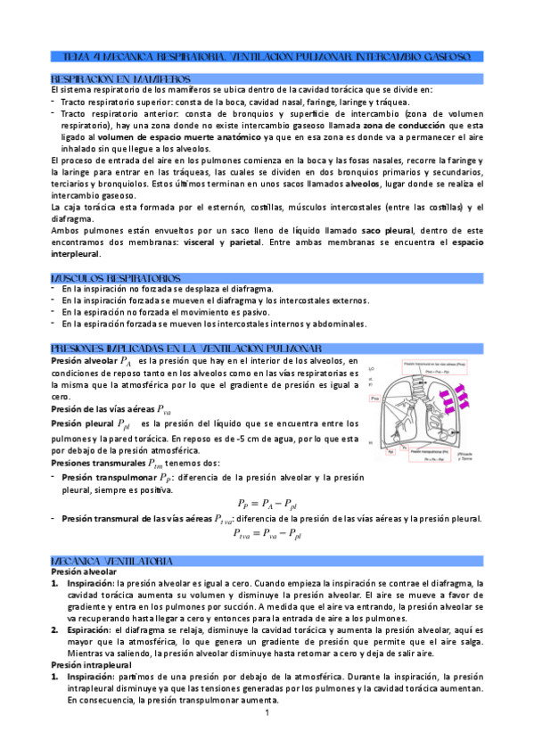 Miniatura del documento TEMA-4-MECANICA-RESPIRATORIA.-VENTILACION-PULMONAR.-INTERCAMBIO-GASEOSO..pdf