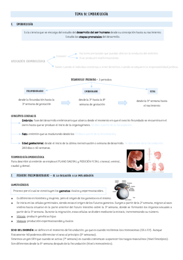 Miniatura del documento Tema-10-bio-medicos.pdf