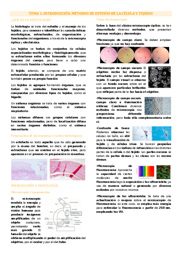 Miniatura del documento Tema 1 biología tisular, Introducción: microscopía y tinciones.pdf