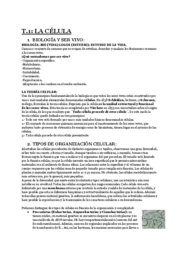 Miniatura del documento apuntes-parcial-1.pdf