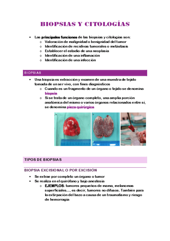 Miniatura del documento biopsias-y-citologias.pdf