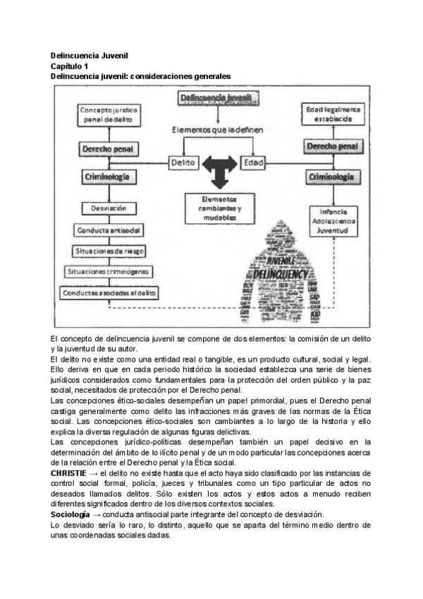 Miniatura del documento Delincuencia-Juvenil-cap-1.pdf