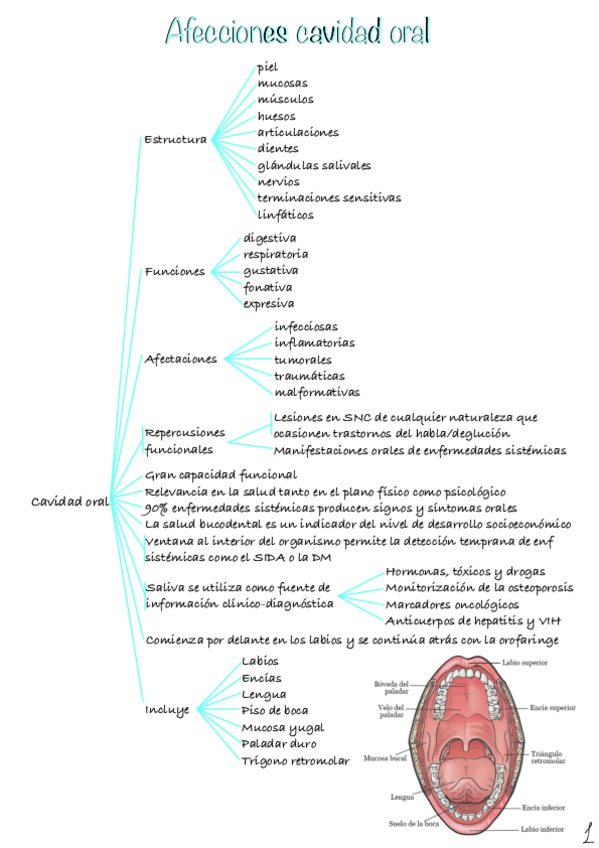 Miniatura del documento Cavidad-oral-2.pdf