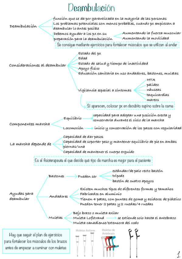 Miniatura del documento Deambulacion-1.pdf