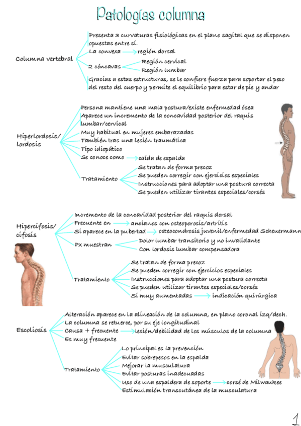 Miniatura del documento Patologias-columna-1.pdf