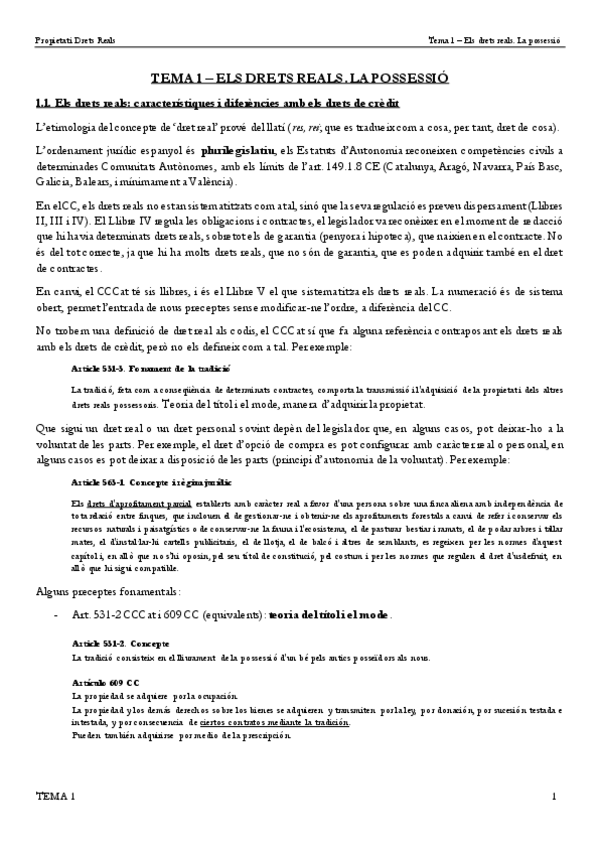 Miniatura del documento TEMA-1-Els-drets-reals.-La-possessio.pdf