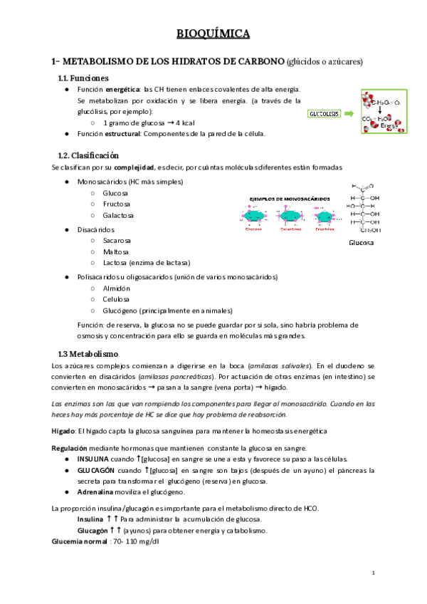 Miniatura del documento Bioquimica.pdf