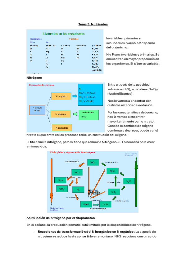 Miniatura del documento Tema-9.pdf