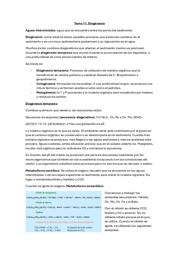 Miniatura del documento Tema-11.pdf