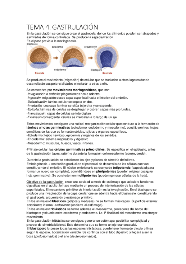 Miniatura del documento tema 4.pdf