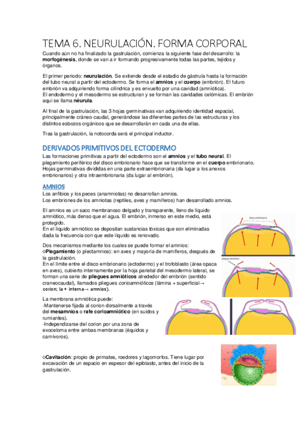Miniatura del documento tema 6.pdf