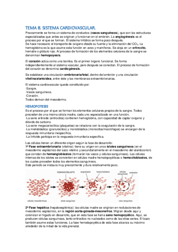 Miniatura del documento tema 8.pdf