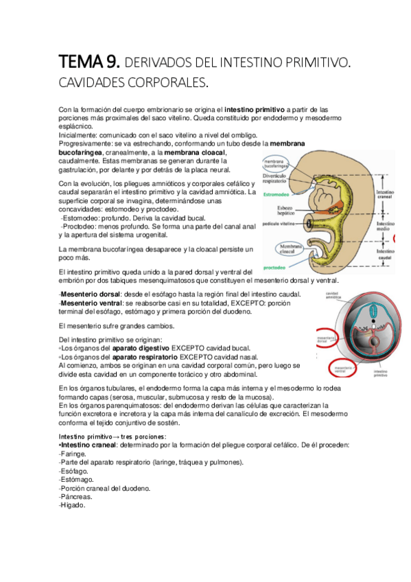Miniatura del documento tema 9.pdf