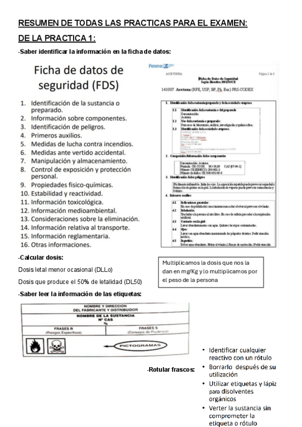 Miniatura del documento RESUMEN-EXAMEN-PRACTICAS-4-PRACTICAS-COMPLETAS.pdf