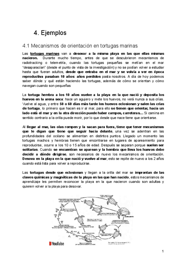Miniatura del documento Tema-7.-P2.pdf