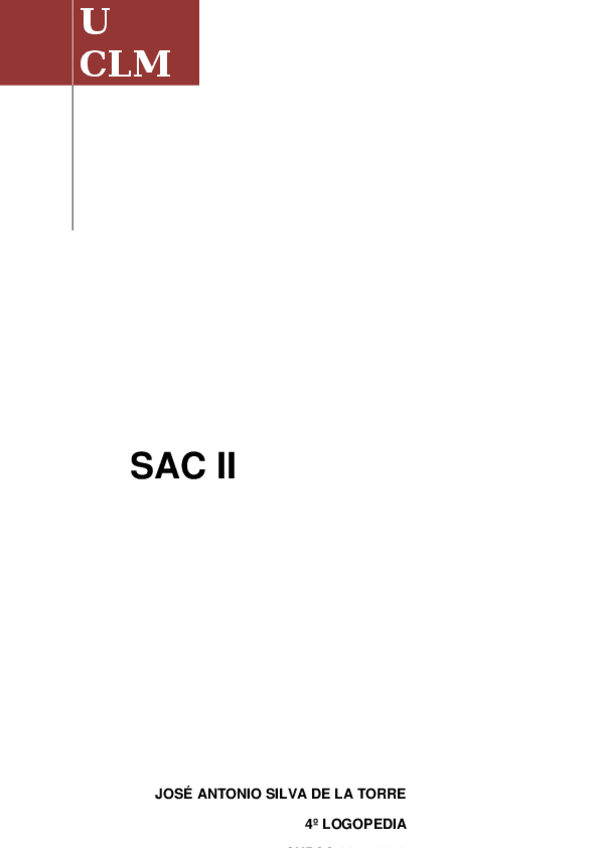 Miniatura del documento APUNTES SAC.docx