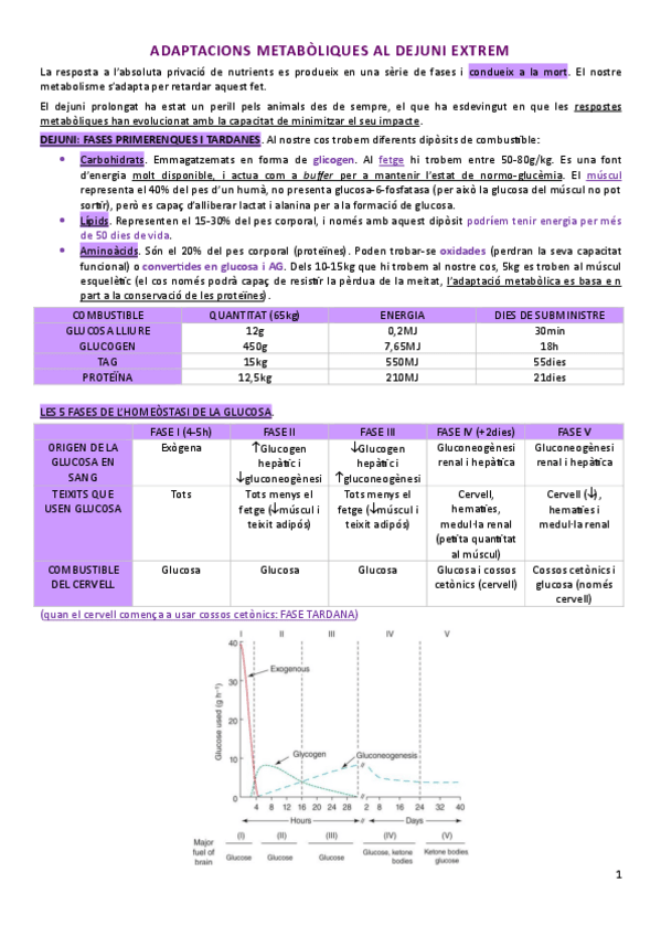 Miniatura del documento bloc5-adaptacions-al-dejuni-extrem-efecte-Warburg-i-traumatisme.pdf