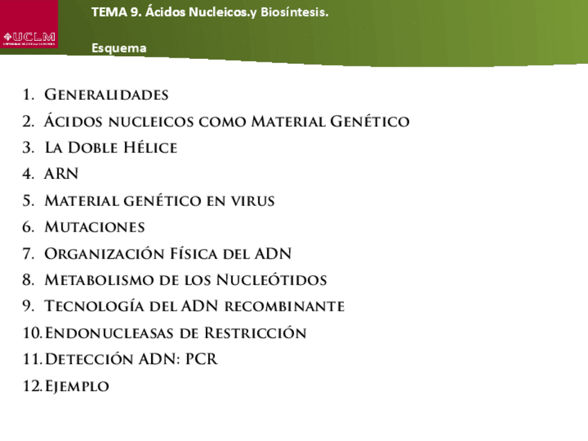 Miniatura del documento Tema-9-Biosintesis.pdf