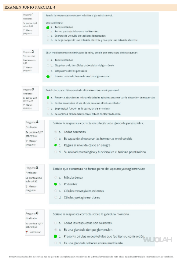 Miniatura del documento EXAMEN-JUNIO-PARCIAL-4.pdf