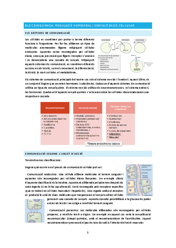 Miniatura del documento BLOC-BIOQUIMICA.pdf