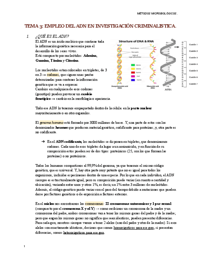 Miniatura del documento TEMA-3-micro.pdf