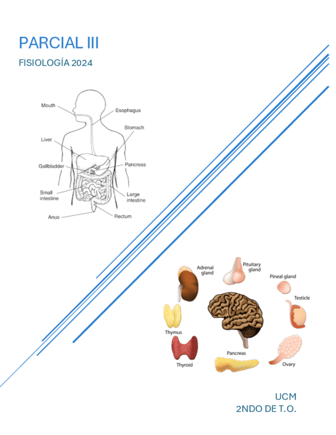 Miniatura del documento FISIOLOGIA-PARCIAL-3-TODO.pdf