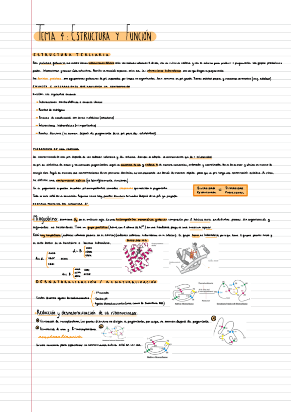 Miniatura del documento BIOQUIMICA-ESTRUCTURAL-tema-4.pdf