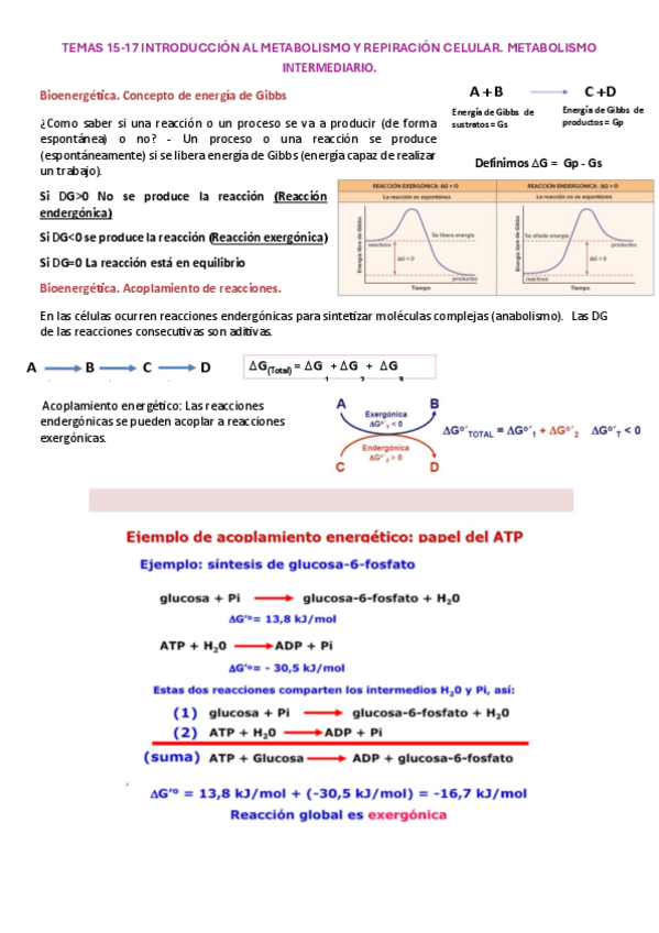 Miniatura del documento Temas-15-17.pdf