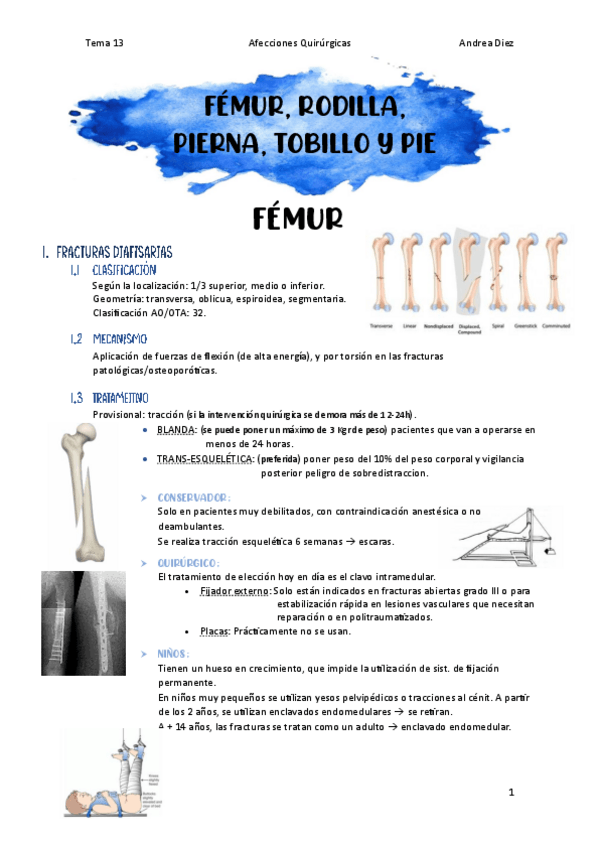 Miniatura del documento Tema-13-Femur-Rodilla-Pierna-Tobillo-y-Pie.pdf