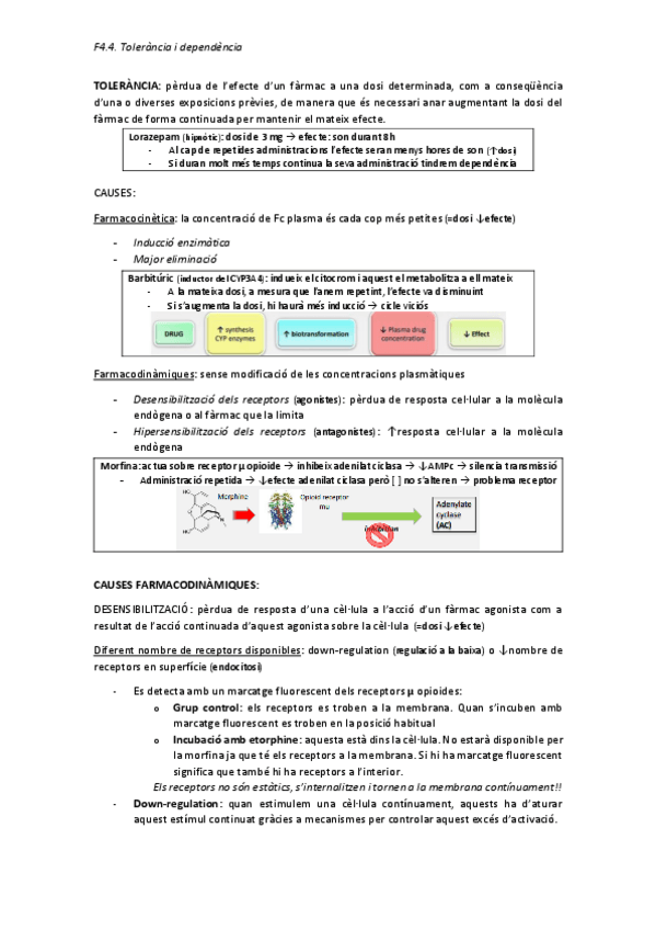 Miniatura del documento F4.4.-Tolerancia-i-dependencia.pdf
