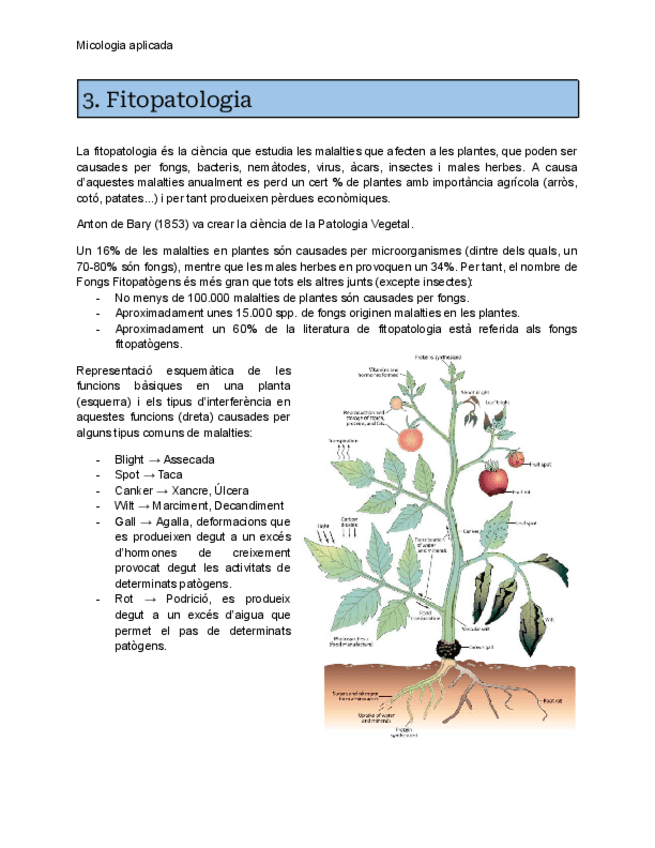 Miniatura del documento MA-3.pdf