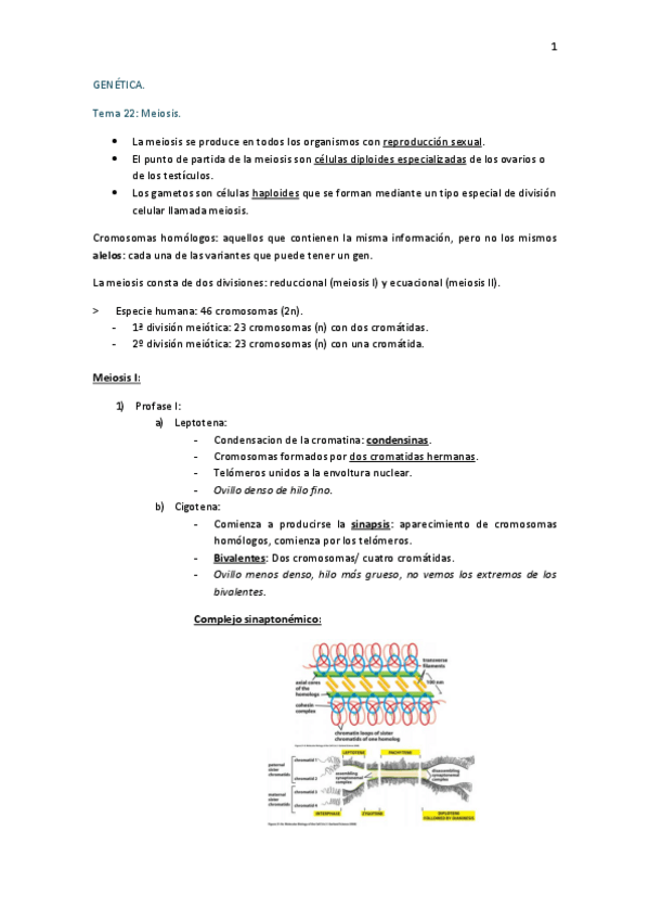 Miniatura del documento Genética.pdf