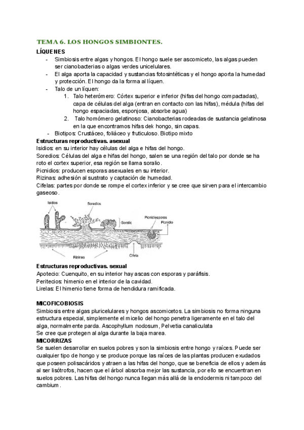 Miniatura del documento BOTANICA-TEMAS-6-y-7.pdf