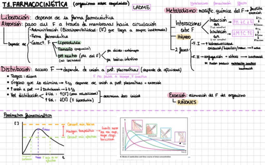 Miniatura del documento Farma-1P.pdf