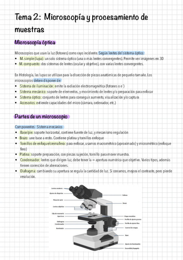 Miniatura del documento Tema 2. Microscopía y procesamiento de muestras..pdf