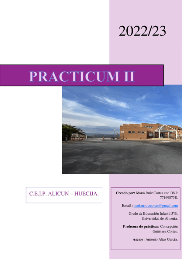 Miniatura del documento MARIA-RUIZ-CORTESPracticum-II.pdf