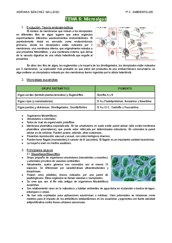 Miniatura del documento Tema-6-Microalgas.pdf