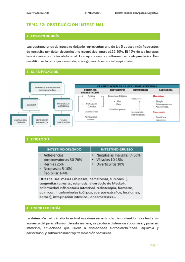Miniatura del documento TEMA-22.pdf