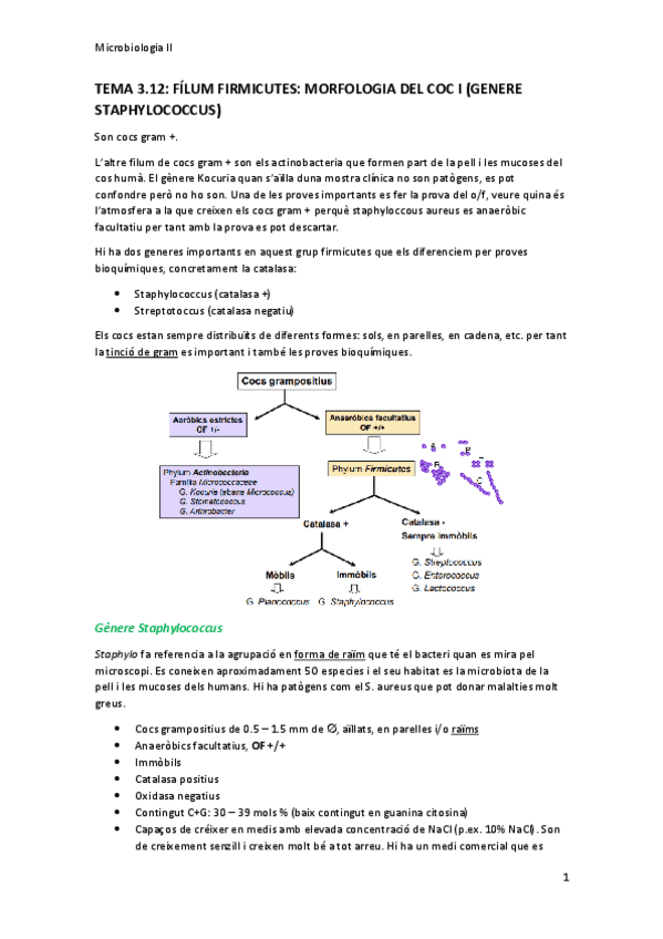 Miniatura del documento TEMA-3.12-micro-II.pdf